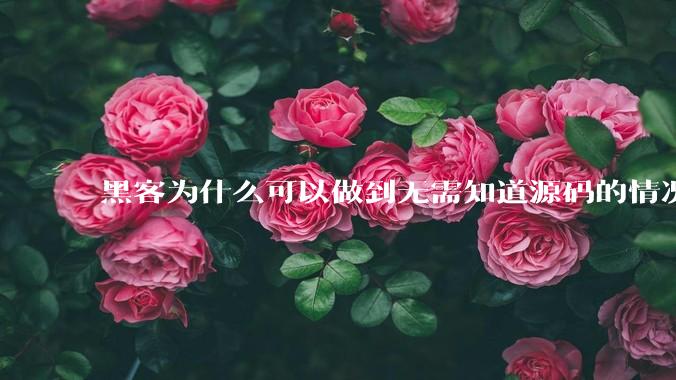 黑客为什么可以做到无需知道源码的情况下找出系统漏洞？