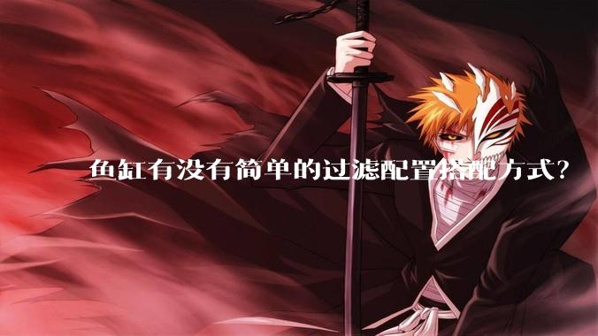 鱼缸有没有简单的过滤配置搭配方式？