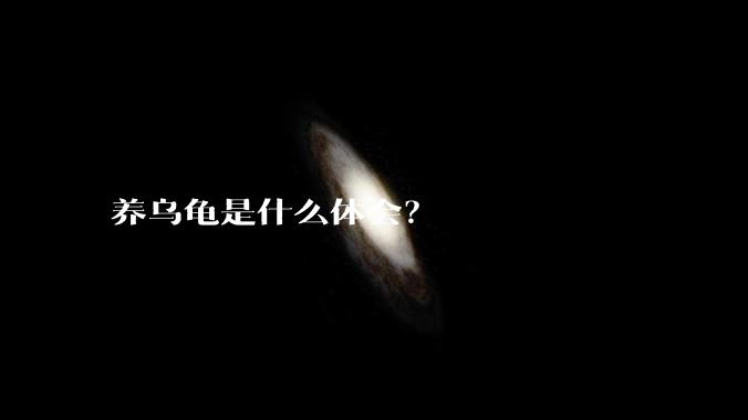 养乌龟是什么体会？