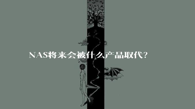 NAS将来会被什么产品取代？