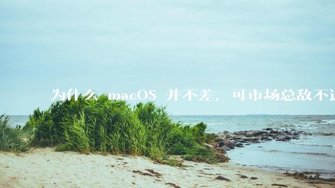 为什么 macOS 并不差，可市场总敌不过 Windows？
