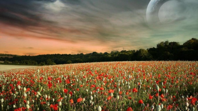 买到烂尾楼到底该有多绝望？